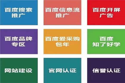 某品牌SEM广告投放的全程记录与效果分析